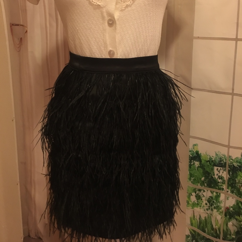 Small Black Feather Skirt